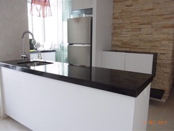 The Lakeshore (D22), Condominium #176557002
